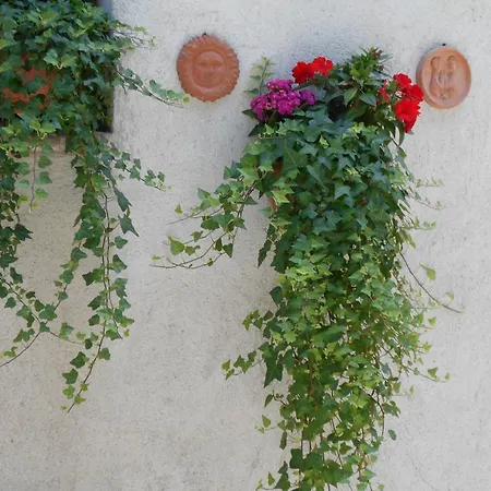 Vakantiehuis Casa Costanza